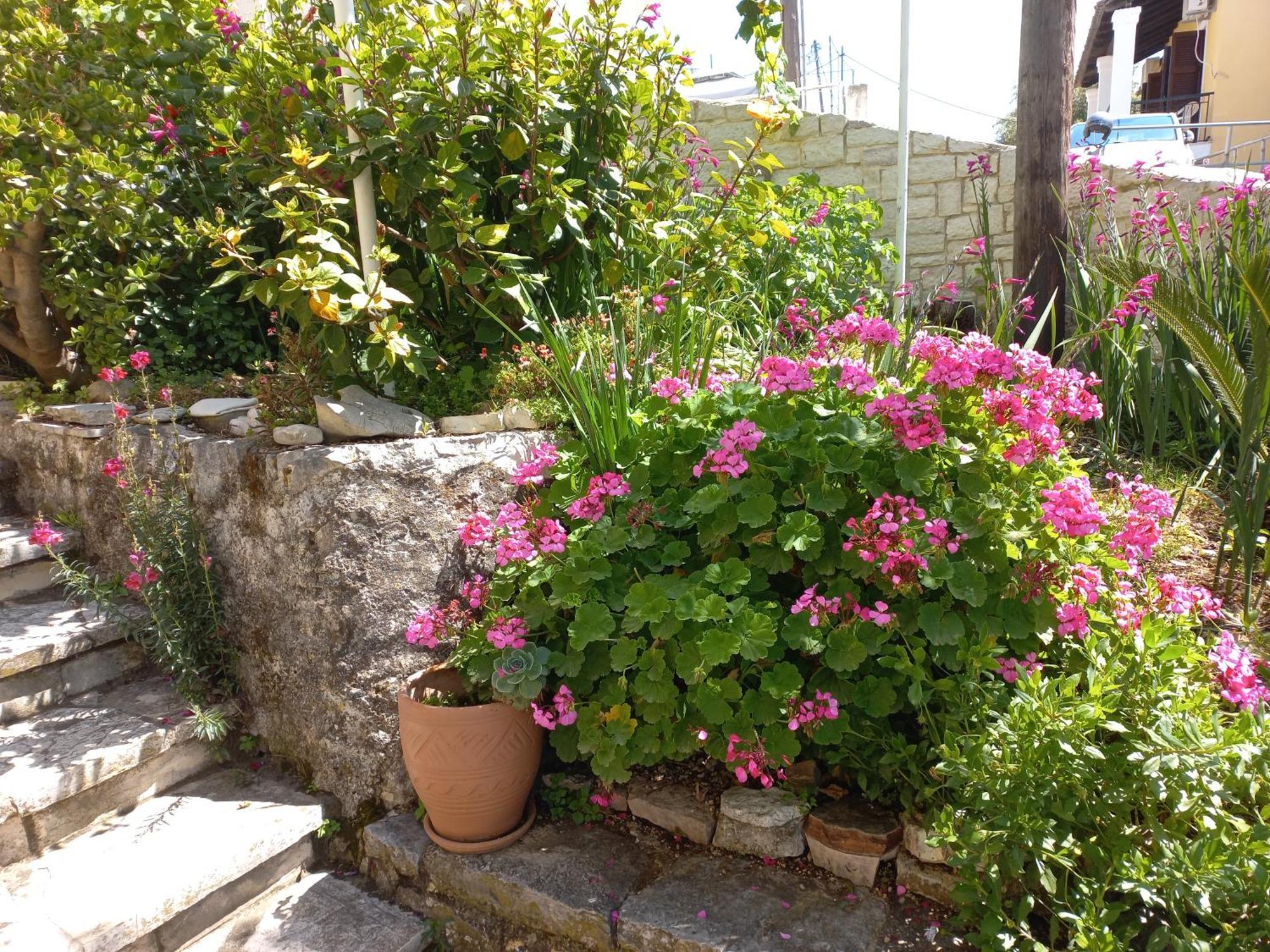 Oneiro House Appartement Kassiopi Buitenkant foto