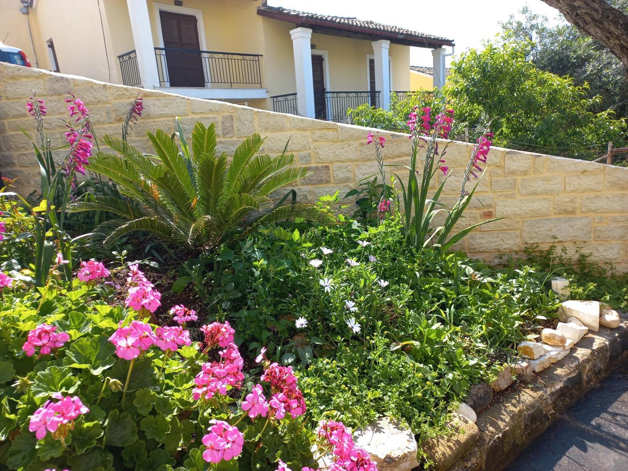 Oneiro House Appartement Kassiopi Buitenkant foto