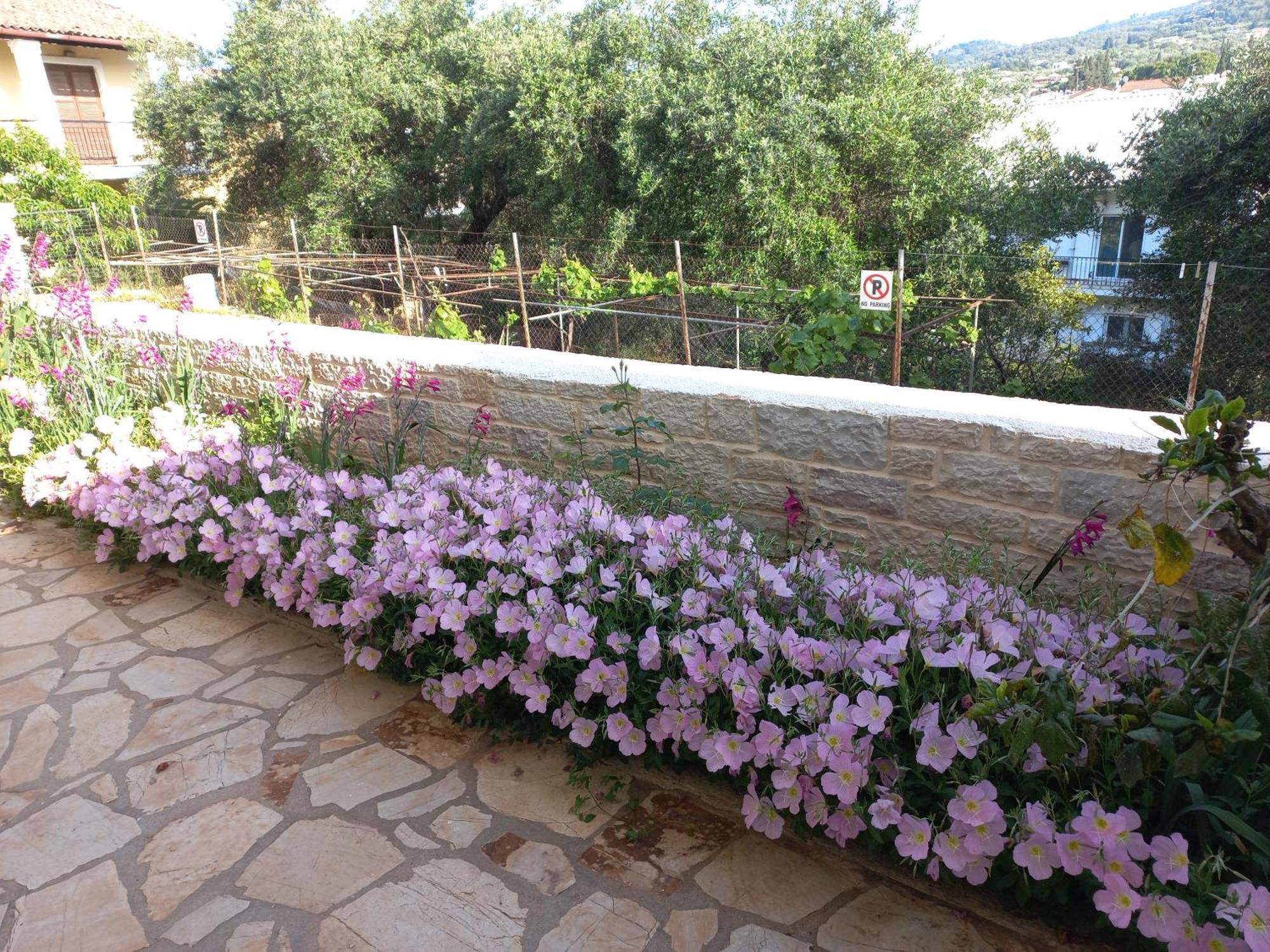 Oneiro House Appartement Kassiopi Buitenkant foto